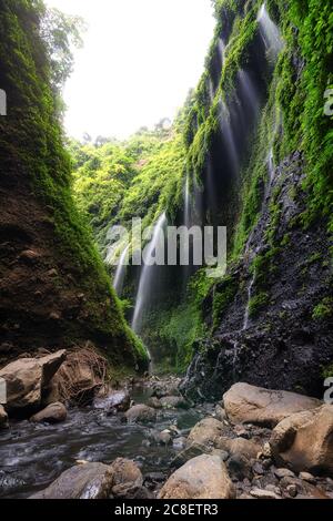 The scenery of the long exposure of the Madakaripura waterfall with beautiful green foliage in Java island, Indonesia. Stock Photo