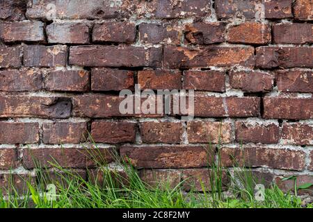 wall texture of old burgundy brick on a background of grass Stock Photo