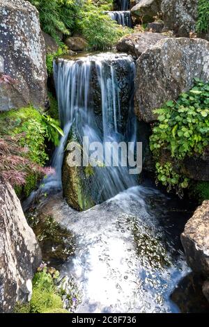 Alpine rock garden with a water feature Stock Photo - Alamy