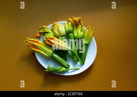 Zucchini flowers in white plate on the brown background. Flat lay, copy space Stock Photo