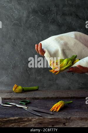 Zucchini flowers in on the old wooden table. Hands holding Blossoms in fabric Stock Photo