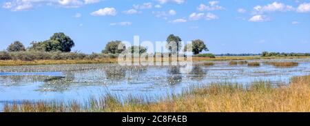 Typical beautiful african landscape, wild river in national park Bwabwata on Caprivi Strip with nice reflection in water. Namibia africa wilderness. W Stock Photo