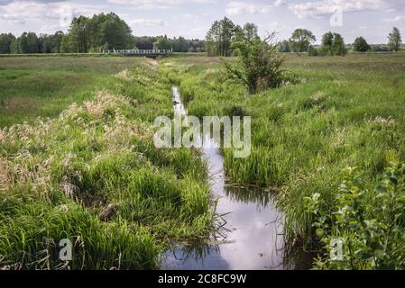 Water canal on a meadow in Wegrow County, Mazovian Voivodeship in east central Poland Stock Photo