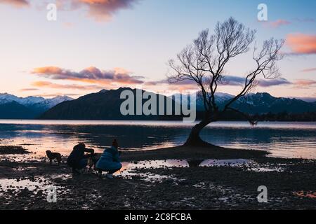 Tourists photograph the famous 'Wanaka Tree' during low lake levels in Wanaka, New Zealand Stock Photo