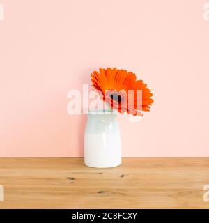 Orange gerbera flower in vase on wooden table with pink background. Floral composition, copy space Stock Photo