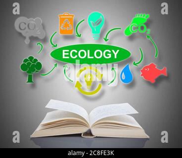 Ecology concept above an open book Stock Photo