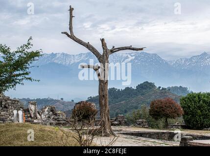 View of Himalayas from Kangra Fort, Dharamshala, Himachal India