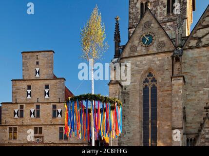 maypole in front of Church St. Marien and Stadtwaage on the market square in the old city, Germany, Lower Saxony, Osnabrueck Stock Photo