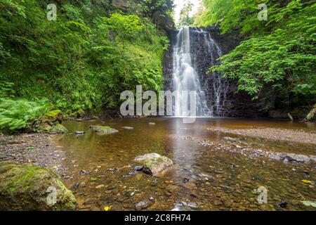 Large cascading waterfall tumbling into a peaceful pool. Falling foss waterfall, Yorkshire Dales Stock Photo