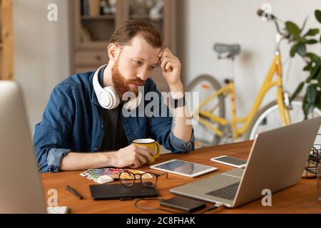 Serious young bearded man focused on design concept sitting at desk and looking at sketch on laptop screen Stock Photo
