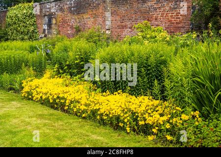 Herbaceous border in walled Garden at Falkland Palace in village of Falkland in Fife, Scotland, UK Stock Photo