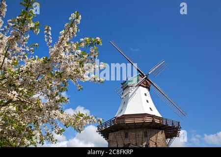 geography / travel, Germany, Schleswig-Holstein, windmill Amanda, Kappeln, Additional-Rights-Clearance-Info-Not-Available Stock Photo