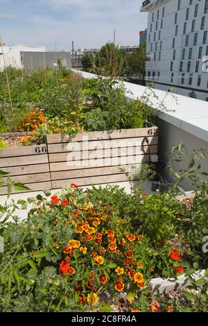 THE WORLD'S LARGEST URBAN FARM IS COMING TO A PARIS ROOFTOP