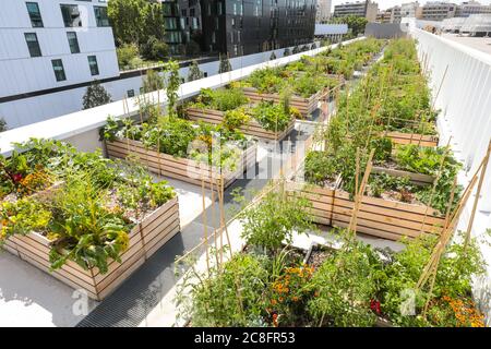 THE WORLD'S LARGEST URBAN FARM IS COMING TO A PARIS ROOFTOP Stock Photo