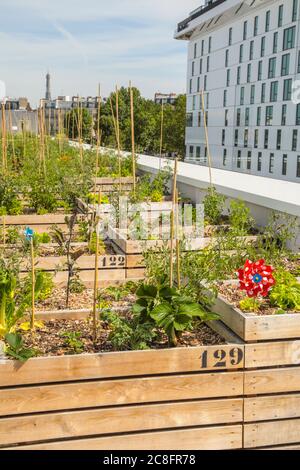THE WORLD'S LARGEST URBAN FARM IS COMING TO A PARIS ROOFTOP