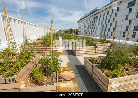 THE WORLD'S LARGEST URBAN FARM IS COMING TO A PARIS ROOFTOP