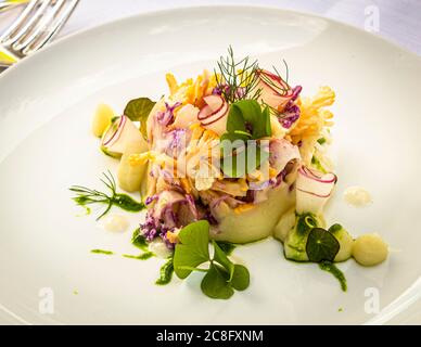 Gourmet Dish by Hotel Krone Chef de cuisine Peter Prüfer in Weil am Rhein, Germany. The colorful cauliflower is accompanied by navette, a type of radish, and versus vinaigrette and frisée