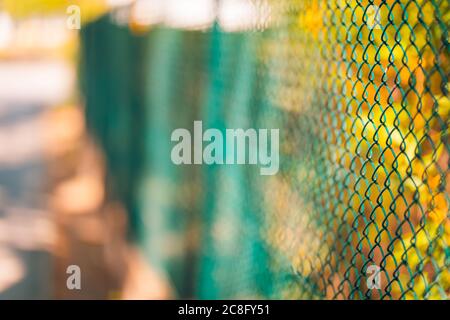 Chicken wire fence with short depth of field. Fence with metal grid in perspective Stock Photo