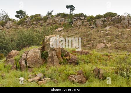 Landscape in Malolotja Nature Reserve, northern Swasiland, Hhohho Province, southern Africa Stock Photo