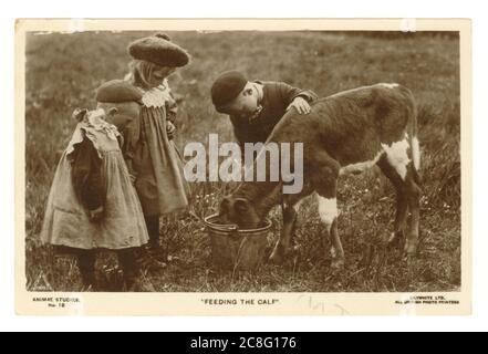 Early 1900's greetings postcard of an idyllic country scene depicting 1920's children outdoors feeding a calf from a bucket. The young girl wears a Tam-o'-Shanter hat fashionable in the early 1920's and a smock dress. A young boy endures wearing a dress with a peaked cap, whilst his older brother wears more boyish clothes and a peaked cap,  posted 17 May 1921. Stock Photo