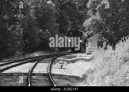 Royal Engineer reversing backwards on the Isle of Wight steam railway. Stock Photo