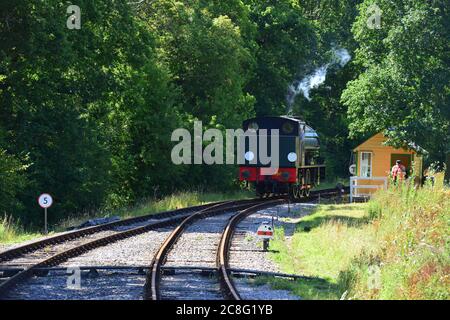 Royal Engineer reversing backwards on the Isle of Wight steam railway. Stock Photo