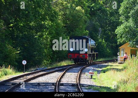 Royal Engineer reversing backwards on the Isle of Wight steam railway. Stock Photo