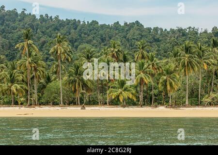 Beautiful seascape view of sandy beach and sea waves. Summer holiday. Tropical paradise. Palms, tropical landscape with natural colors.view of a wild Stock Photo
