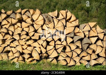 Logging - pile with cutted trunks and branches of tree. Raw wooden material is storaged on mound. Green grass around heap Stock Photo