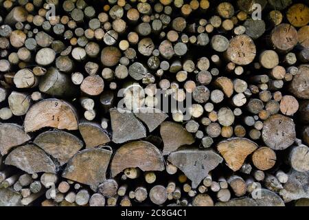 Logging - pile with cutted trunks and branches of tree. Raw wooden material is storaged on mound Stock Photo