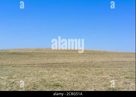 Minimalist landscape - curved horizon of meadow / field with mown grass and clear blue sky. Countryside during spring season Stock Photo