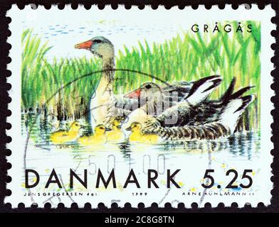 DENMARK - CIRCA 1999: A stamp printed in Denmark from the 'Migratory Birds' issue shows Greylag goose (Anser anser) with goslings, circa 1999. Stock Photo