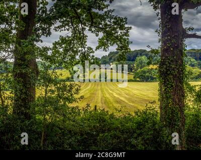 Tyical English countryside landscape. Trees and field. East Devon. July. Stock Photo