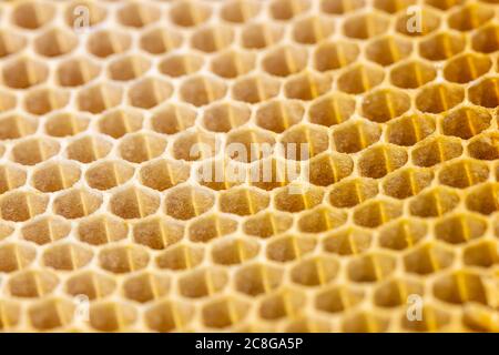 honeycomb seamless pattern background no bee Stock Photo