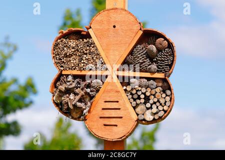 An artificial bug hotel made with bamboo canes and pine cones Stock Photo