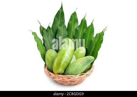 Fresh green raw mangoes fruit in rattan basket with green leaves isolated on white background. Stock Photo