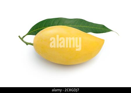 Ripe yellow mango and leaf isolated on white background, One whole mango fruit. Stock Photo