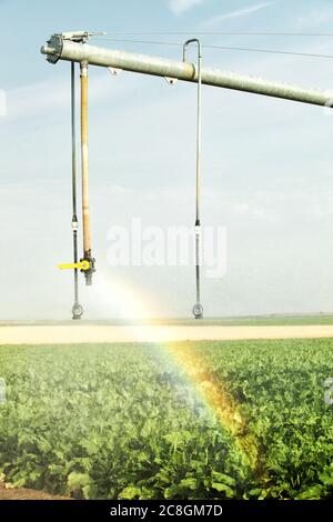 A closeup view of a rainbow formed by the sun difracting through a high tech agricultural sprinkler watering farm crops. Stock Photo