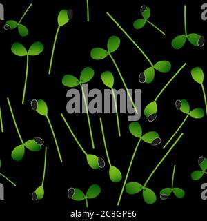 Microgreens Sunflower. Sprouting seeds of a plant. Seamless pattern. Vitamin supplement, vegan food Stock Vector