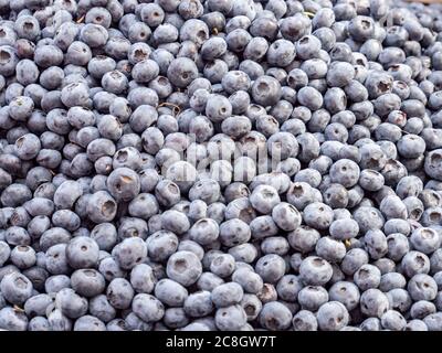 Blueberries texture background group Stock Photo