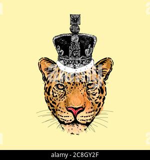 Hand drawn sketch style burlesque portrait of funny leopard with crown on it's head isolated on yellowish background. Vector illustration. Stock Vector