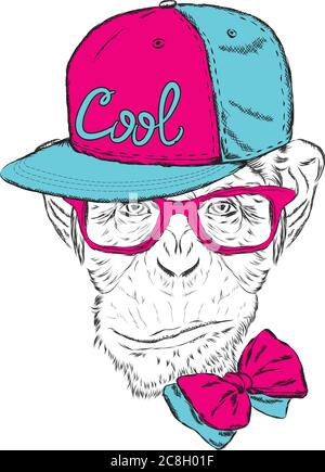 Monkey wearing a cap and sunglasses.  Vector illustration for greeting card, poster, or print on clothes. Stock Vector