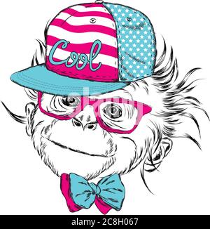 Monkey wearing a cap and sunglasses.  Vector illustration for greeting card, poster, or print on clothes. Stock Vector