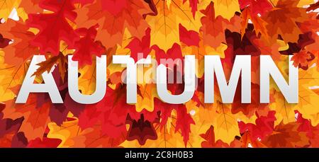 Abstract Autumn Background wiyj Falling Leaves. Vector Illustratiion Stock Vector
