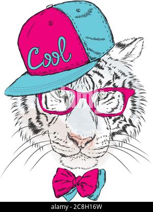 White cat in baseball cap and sunglasses Vector Image