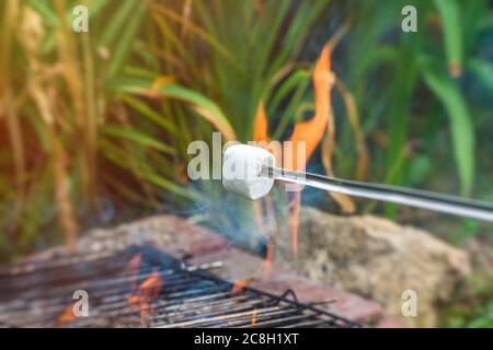 whote marshmallows on skewer over fire outdoors Stock Photo