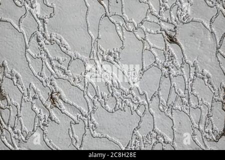 Transparent, patterned, abstract and old weathered glass flat high quality texture Stock Photo