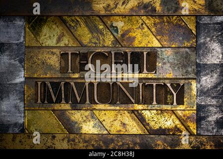 T-Cell Immunity text formed with real authentic typeset letters on vintage textured silver grunge copper and gold background Stock Photo