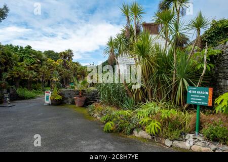 Logan Botanic gardens, Rhins of Galloway, Scotland, UK Stock Photo