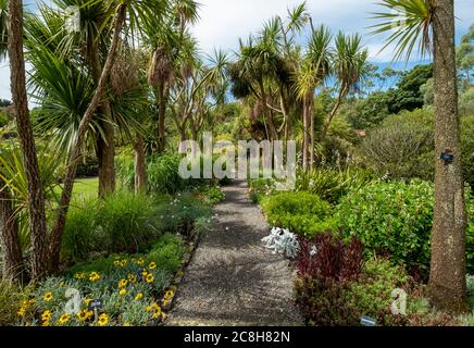 Logan Botanic gardens, Rhins of Galloway, Scotland, UK Stock Photo